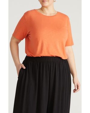 UNIVERSAL STANDARD Light As Air Tee Rex T-Shirt - Black