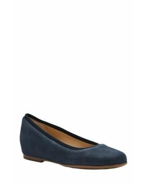 ABEO Cadence Ballet Flat - Blue
