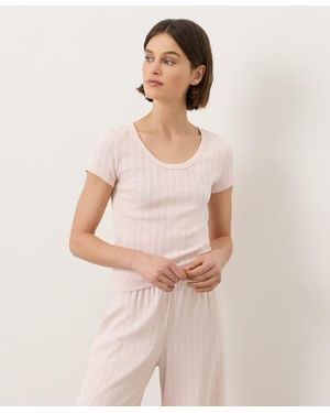Pact Organic Cotton Pointelle Scoop Neck Tee - Natural
