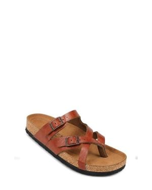 AEROTHOTIC Celestis Slide Sandal - Brown