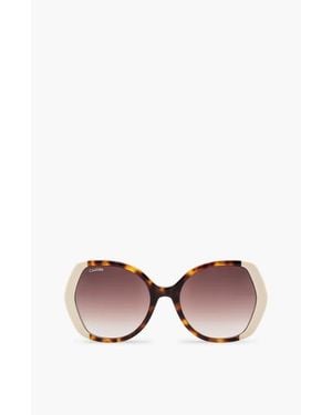 Cavalinho Sunglasses Pearl - Brown