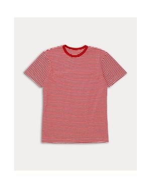 Fortela Stripes Striped Pattern T-Shirt - Pink