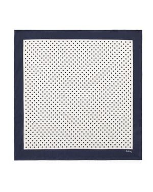 Echo Pin Dot Silk Scarf - Blue