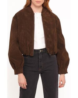 Petal & Pup Goldie Faux Suede Bomber Jacket - Brown