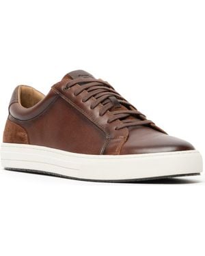 Rodd & Gunn Transit Sneaker - Brown