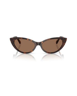Jimmy Choo 55Mm Cat Eye Sunglasses - Brown