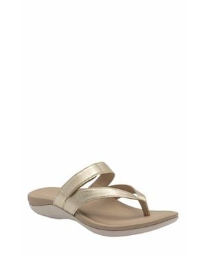 ABEO Oasis Thong Sandal - Multicolor