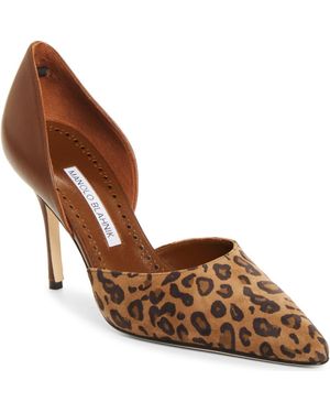 Manolo Blahnik Taylerbinu D'Orsay Pump - Brown