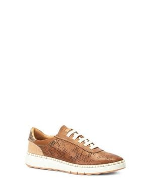 Pikolinos Arenas Sneaker - Brown