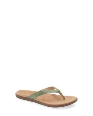 Olukai Honu Flip Flop - Multicolor