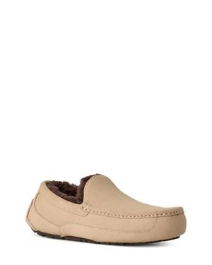 UGG Ascot Loafer Slipper - Brown