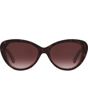 Kate Spade Josi 55Mm Cat Eye Sunglasses - Brown