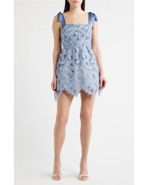 Lucy Paris Micah Lace Minidress - Blue