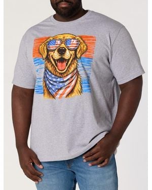 True Nation by DXL Big & Tall Independence Day Dog Graphic T-Shirt - Gray