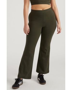 UNIVERSAL STANDARD Roya Bootcut Leggings - Green