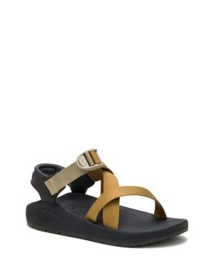 Chaco Cushz Sandal - Multicolor