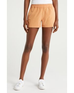 Free Fly Breeze Shorts - Multicolor