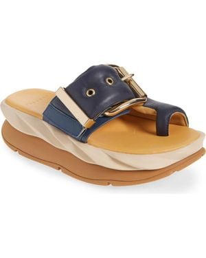 4Ccccees Mellow Glow Platform Sandal - Blue