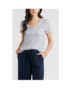Caslon Cotton & Modal V-Neck T-Shirt - Blue