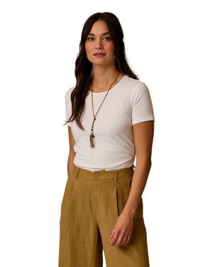 Carve Designs Vega Rib Tee 2.0 - Multicolor