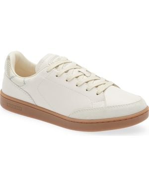 Burberry Set Check Low Top Sneaker - White