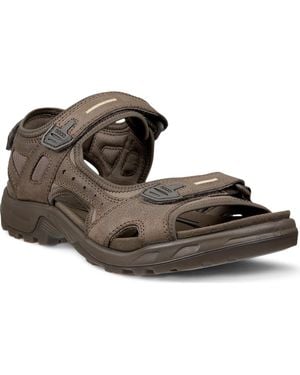 Ecco Yucatan Sandal - Brown
