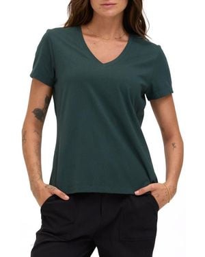 Threads For Thought Aria Essential Organic Cotton T-Shirt - Green