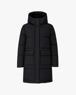 Quartz Co. Chloe Ca - Black