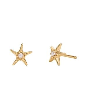 MADE BY MARY Starfish Stud Earrings - Metallic