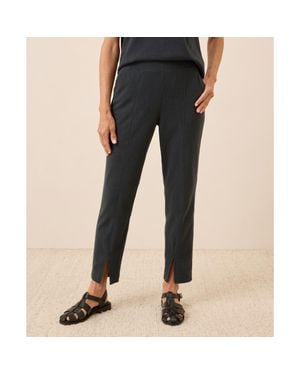 Pact Organic Cotton Airplane Tapered Leg Pant - Blue