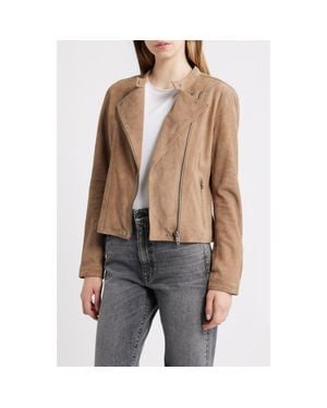 Frye Classic Biker Suede Jacket - Brown