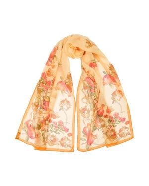 Elizabetta Viviana - Orange