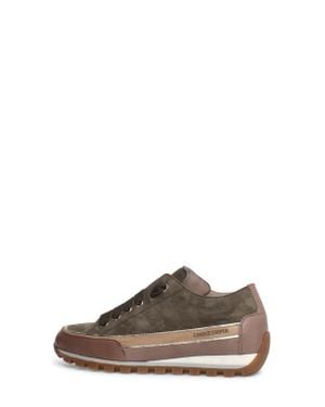 Candice Cooper Janis Strip Sneaker - Brown