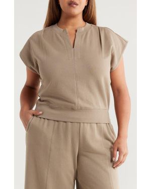 Wit & Wisdom Extended Shoulder Notch Neck Top - Brown