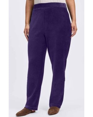 Foxcroft Caden Plush Corduroy Pants - Purple