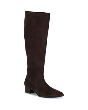 Diba True Dig Ital Leather Sleek Tall Boot - Brown