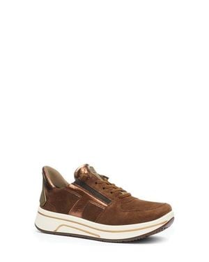 Ara Surrey Low Top Sneaker - Brown