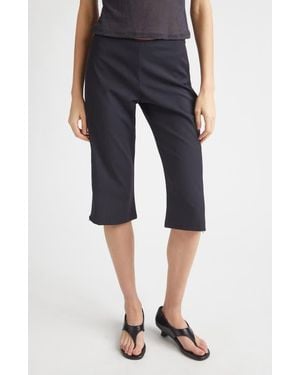 Paloma Wool Lumieti Pinstripe Side Zip Capri Pants - Blue