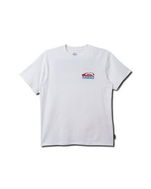 Quiksilver Hi Island Print Graphic T-Shirt - Gray
