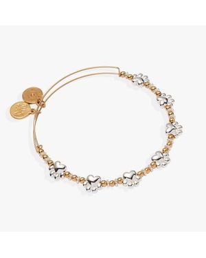 ALEX AND ANI Paw Print Beaded Dog Bangle - Metallic