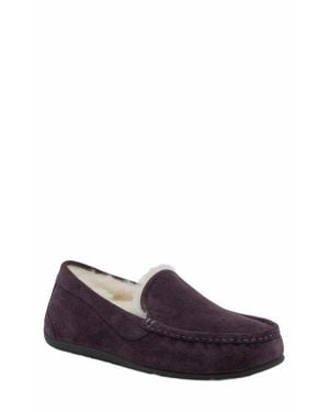 ABEO Amble Slipper - Purple