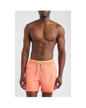 Chubbies The Peach Perfects 5.5 Inch Swim Trunks - Pink