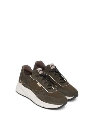 Nero Giardini Bungee Sneaker - Green