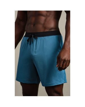 Rhone Endure 6-Inch Lined Training Shorts - Blue