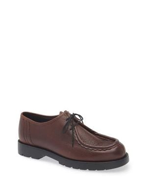 Kleman Padror Derby - Brown