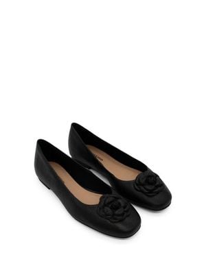 BOTTER Botsamya Ballet Flat - Black