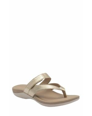 ABEO Oasis Thong Sandal - Multicolor