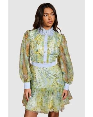 Coast Collared Mini Dress - Green