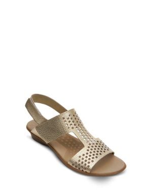 Sesto Meucci Elicia Slingback Sandal - Multicolor