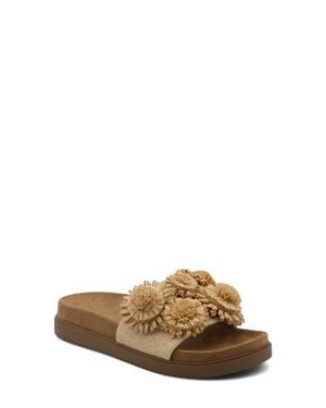 Charles David Palms Platform Slide Sandal - Brown